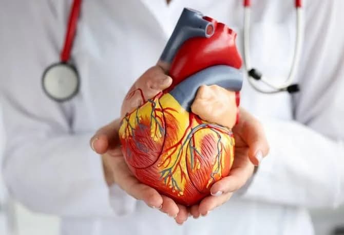 Doenças cardiovasculares causam uma morte a cada 72 segundos no Brasil