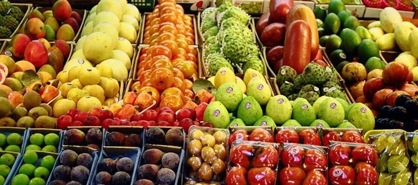 Brasil amplia exportação de frutas para a Europa, mas frete de até US$ 9 mil pressiona margens