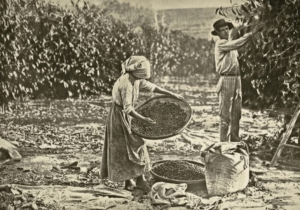 História de Franca e Região