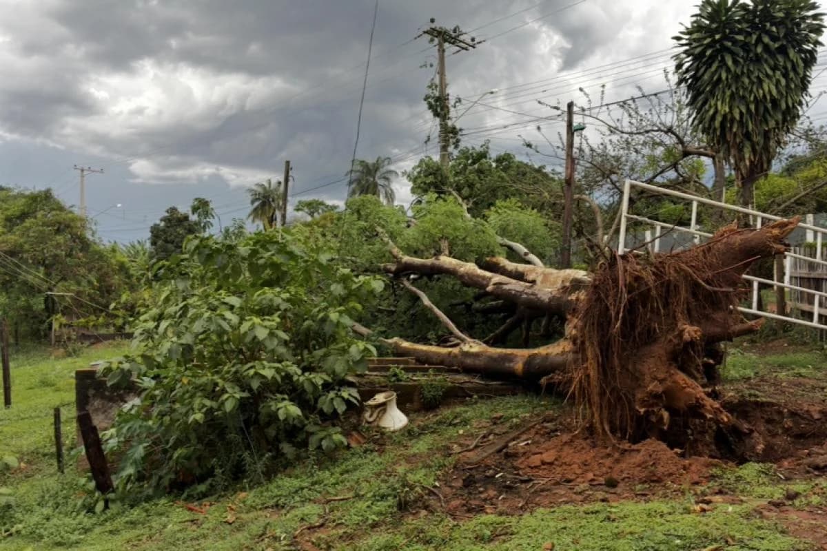 Franca segue sob alerta de tempestade após chuva provocar queda de árvores e postes