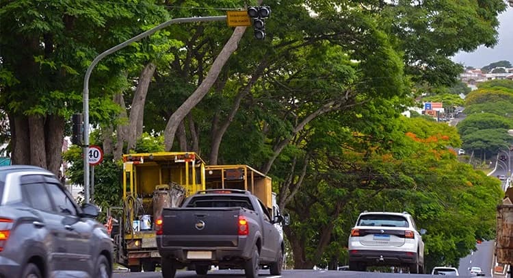 Semáforo na avenida Major Nicácio será ativado durante obras no Córrego Cubatão