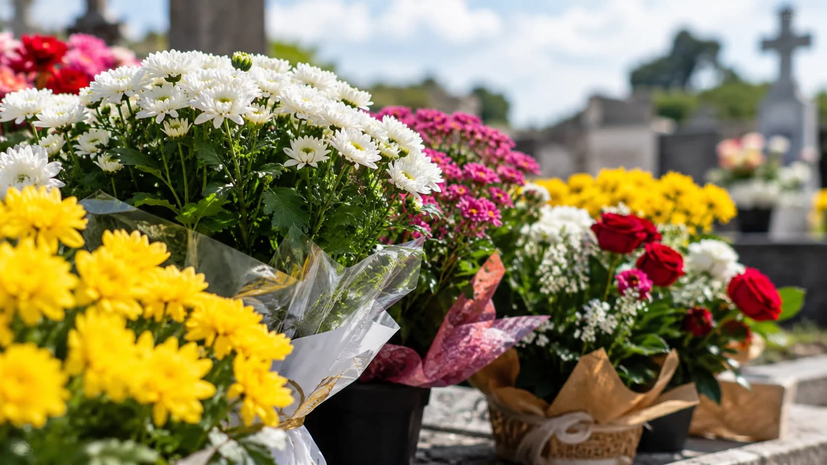 Vendas de flores devem crescer 5,2% no dia de Finados